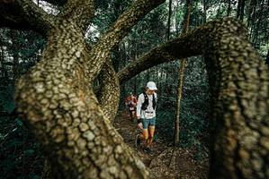 BIB: 
                            <button type="button" onclick="openModal(25669343)" class="btn btn-primary btn-sm float-right btn-popup" data-toggle="modal" data-target=".modal-high-quality">
                        <i class="fas fa-shopping-cart"></i> Add to Cart
                    </button>
                                            <button type="button" onclick="isThisMe(25669343, true)" class="btn btn-success btn-sm float-right btn-popup btn-isme hidden" data-toggle="tooltip" data-placement="bottom" title="นี่คือรูปของคุณใช่ไหม คลิกที่นี่เพื่อเอาเข้าอัลบั้ม">
                        <i class="fas fa-plus"></i> Add to album
                    </button>
                    <button type="button" onclick="isThisMe(25669343, false)" class="btn btn-warning btn-sm float-right btn-popup btn-isnotme hidden">
                        <i class="fas fa-ban"></i> Remove from album
                    </button>